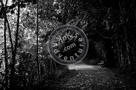 Bench_On_Path_Black_N_White_KTB0623-Edit