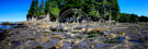 Botanical_Beach_Panorama