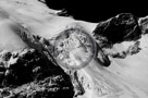 Columbia_Mountains_Heli_Tour_010_Black_N_White_KTA6170