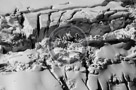 Columbia_Mountains_Heli_Tour_034_Black_N_White_KTA6263