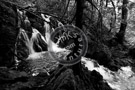 Creek -003_Black_N_White_DSC_8733