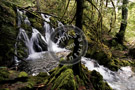 Creek -003_DSC_8733