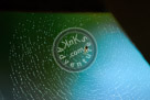 Spider_Web_KMT6837